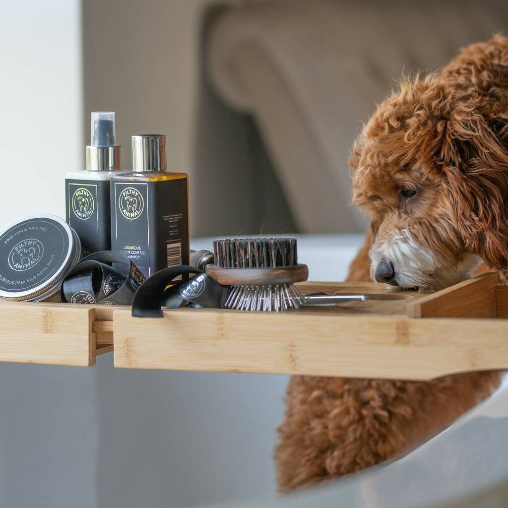 Luxury Prebiotic Dog Grooming And Bath Set With Treats By Filthy animal