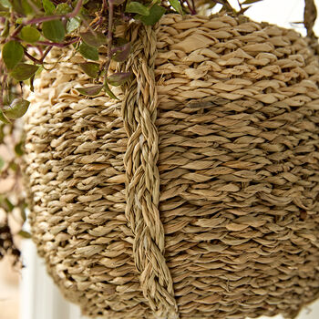 Seagrass Hanging Basket Planter, 4 of 5