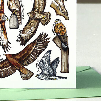 Birds Of Prey Of Britain Greeting Card, 5 of 7