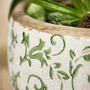 Irina Green Botanical Planter, thumbnail 6 of 8
