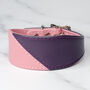 Multi Coloured Leather Whippet Collar, thumbnail 1 of 6