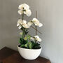 Blossoming Orchid In Ceramic Planter Artificial Display, thumbnail 1 of 1