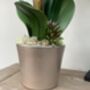 Large Peach Artificial Silk Orchid, thumbnail 5 of 7