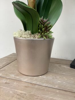 Large Peach Artificial Silk Orchid, 5 of 7