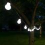 20 White LED Pro Festoon Lights, thumbnail 1 of 3