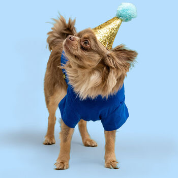 'It's My Birthday' Blue Dog T Shirt, 3 of 5