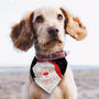Personalised Santa Dog Bandana, thumbnail 2 of 3