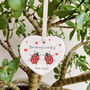 Valentine's Day Love Bug Ceramic Hanging Gift, thumbnail 6 of 6
