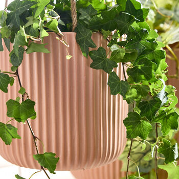 Roma Ribbed Terracotta Hanging Planter, 5 of 7