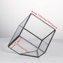 Small Inclined Cube Glass Geometric Terrarium, thumbnail 7 of 7