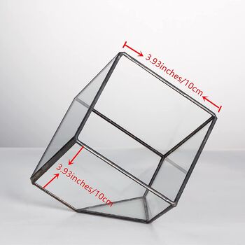 Small Inclined Cube Glass Geometric Terrarium, 7 of 7