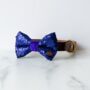 Blue Sequin Christmas Dog Bow Tie, thumbnail 2 of 3