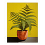 Flourishing Ferns House Plant On Yellow Wall Art Print, thumbnail 6 of 6