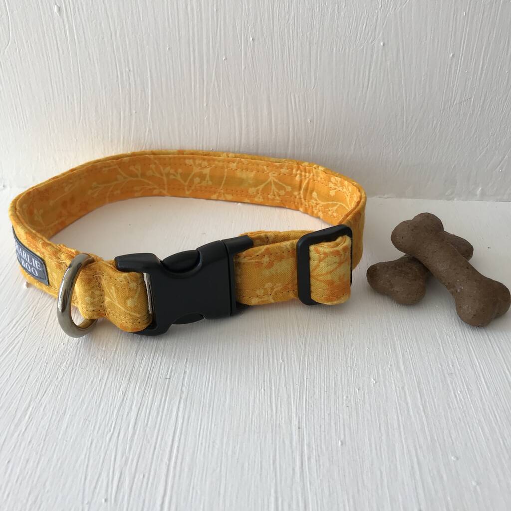 Orange Or Yellow Dog Collar For Girl Or Boy Dogs By Charlie and Boo