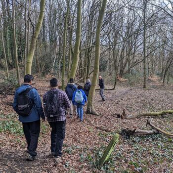 Full Day Yorkshire Foraging Experience With Wild Lunch, 2 of 8