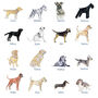 Personalised Dog Breed Change Of Address Cards, thumbnail 2 of 6
