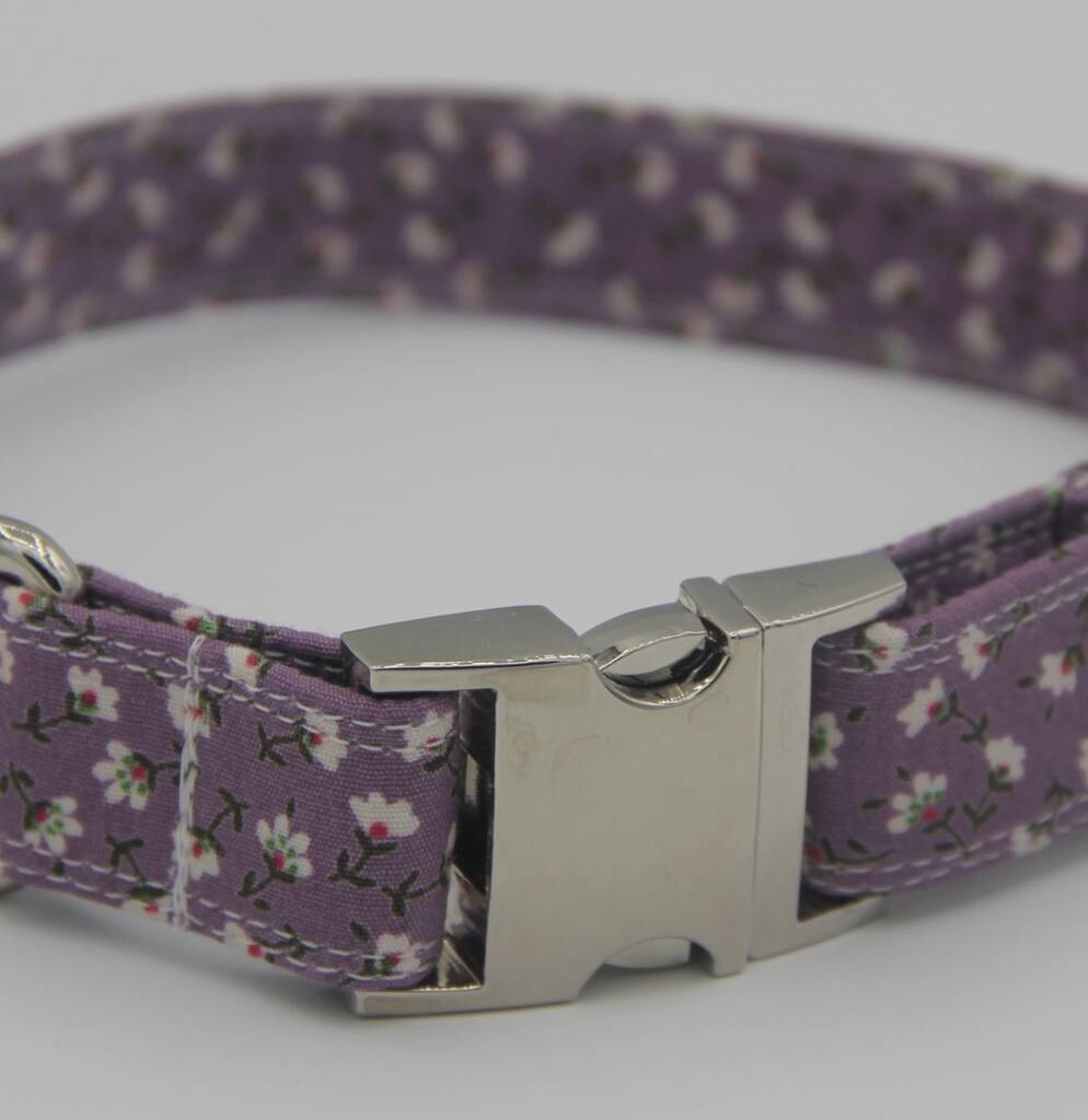 daisy dog accessories
