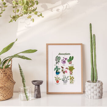 Potted Houseplant Watercolour A4 Art Print, 5 of 12