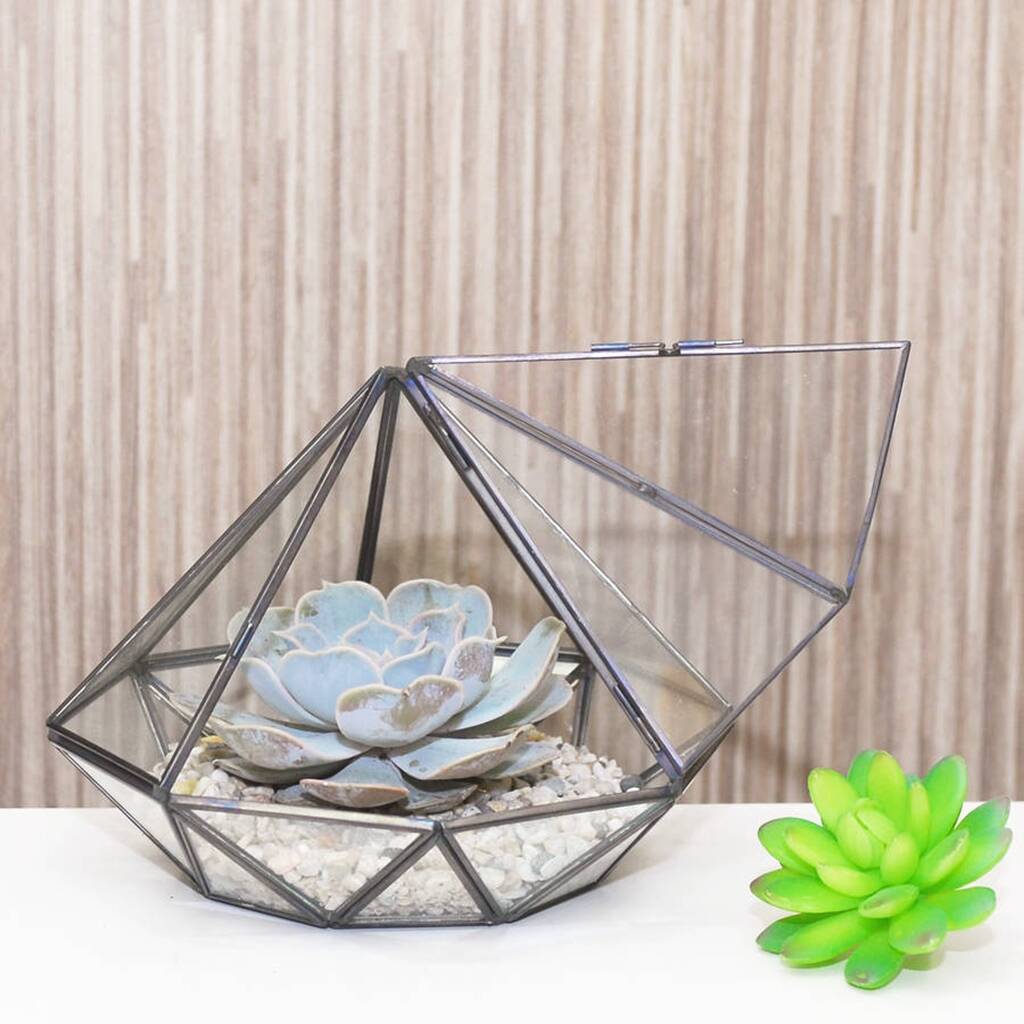 Geometric Diamond Shaped Glass Vase Succulent Terrarium By Dingading 