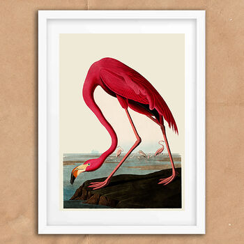 Vintage Flamingo Illustration Art Print, 6 of 7