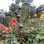 Stylish Cluster Of Five Steel Balls/Cups For Garden Large, thumbnail 2 of 4