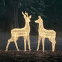 Plug In LED Reindeer Xl Stag And Doe Christmas Figures, thumbnail 2 of 6