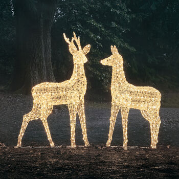 Plug In LED Reindeer Xl Stag And Doe Christmas Figures, 2 of 6