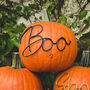 No Mess, 'Boo' Wire Pumpkin Decoration, thumbnail 3 of 4