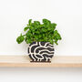 Abstract Plywood Plant Pot Screen 'Shapes' Design, thumbnail 1 of 5