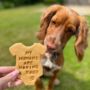 'My Humans Are Having A Baby' Dog Biscuits Baby Gift, thumbnail 1 of 5