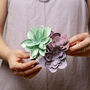 Paper Succulent Making Letterbox Gift Set, thumbnail 1 of 11