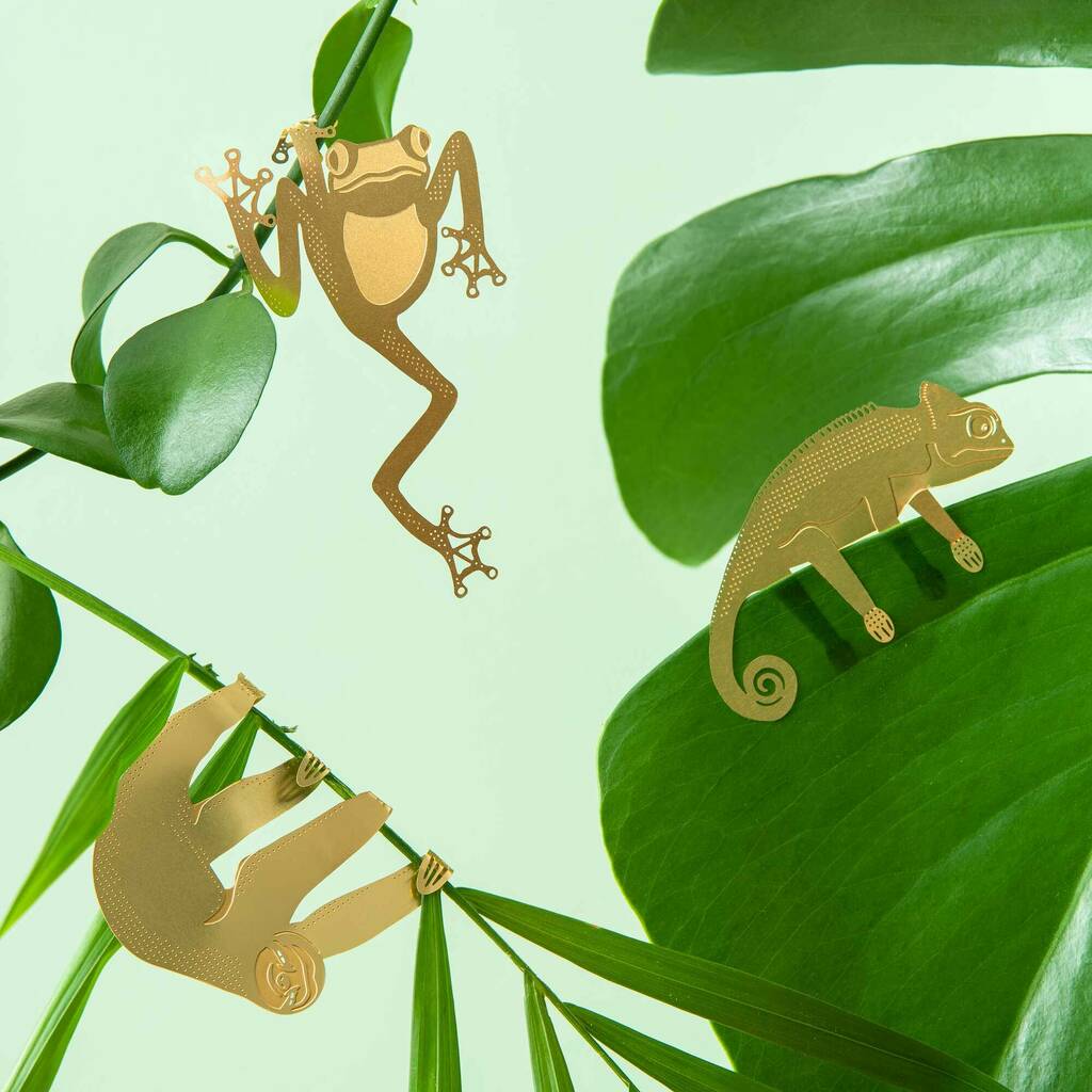 Plant Animal Houseplant Decorations By Another Studio |  