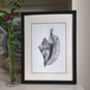 Limited Edition Conch Shell Giclee Print, thumbnail 1 of 5
