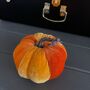 Small Velvet Pumpkin Decoration, thumbnail 2 of 2