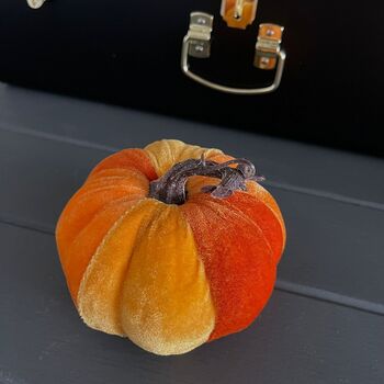 Small Velvet Pumpkin Decoration, 2 of 2