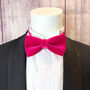 Plush Velvet Bow Tie, thumbnail 7 of 10
