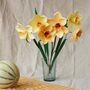 Paper Daffodil Craft Diy Flower Kit, thumbnail 1 of 4