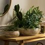 Antique Terracotta Plant Bowl, thumbnail 1 of 8