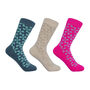 Windmill Women's Socks – Bundle, thumbnail 1 of 8