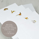 British literature essay image