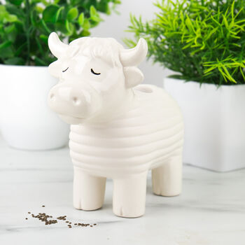 Grow Your Own Highland Cow Chia Planter, 4 of 5