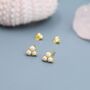 Sterling Silver Pearl Trefoil Stud Earrings, thumbnail 5 of 12