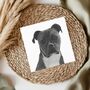 Loyal Staffie Cross Greeting Card, thumbnail 1 of 5