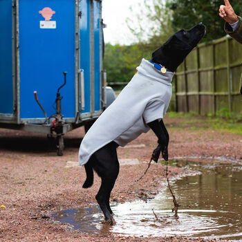 Labrador Polartec Water Resistant Dog Coat, 7 of 7