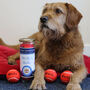 Personalised Dog Tennis Balls, thumbnail 6 of 12