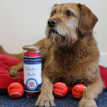 Personalised Dog Tennis Balls, 6 of 12