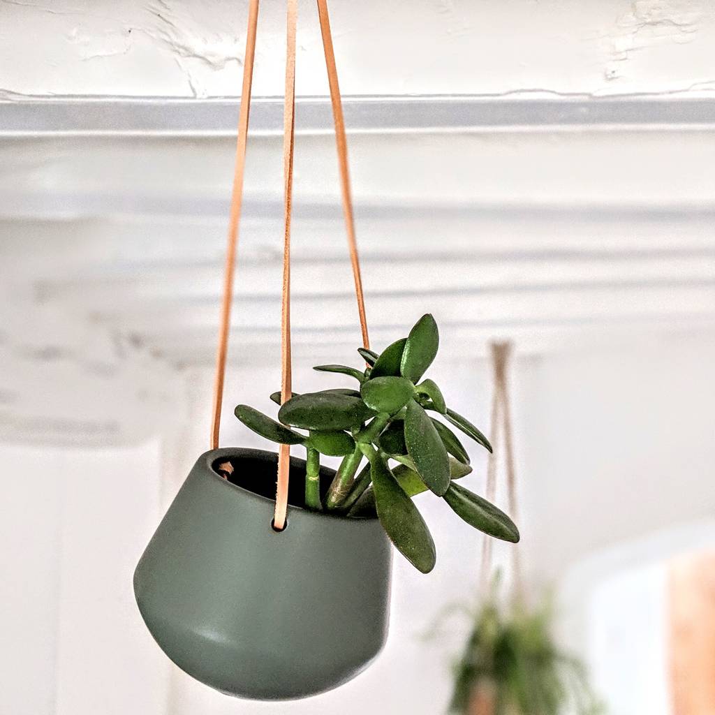  ceramic  hanging plant  pot  by peastyle notonthehighstreet com