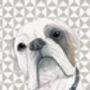 Personalised Pet Portrait On Geometric Background, thumbnail 12 of 12