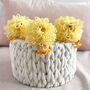 Three Little Chicks Crochet Kit, thumbnail 1 of 6
