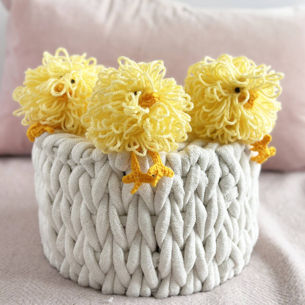 Three Little Chicks Crochet Kit, 1 of 6
